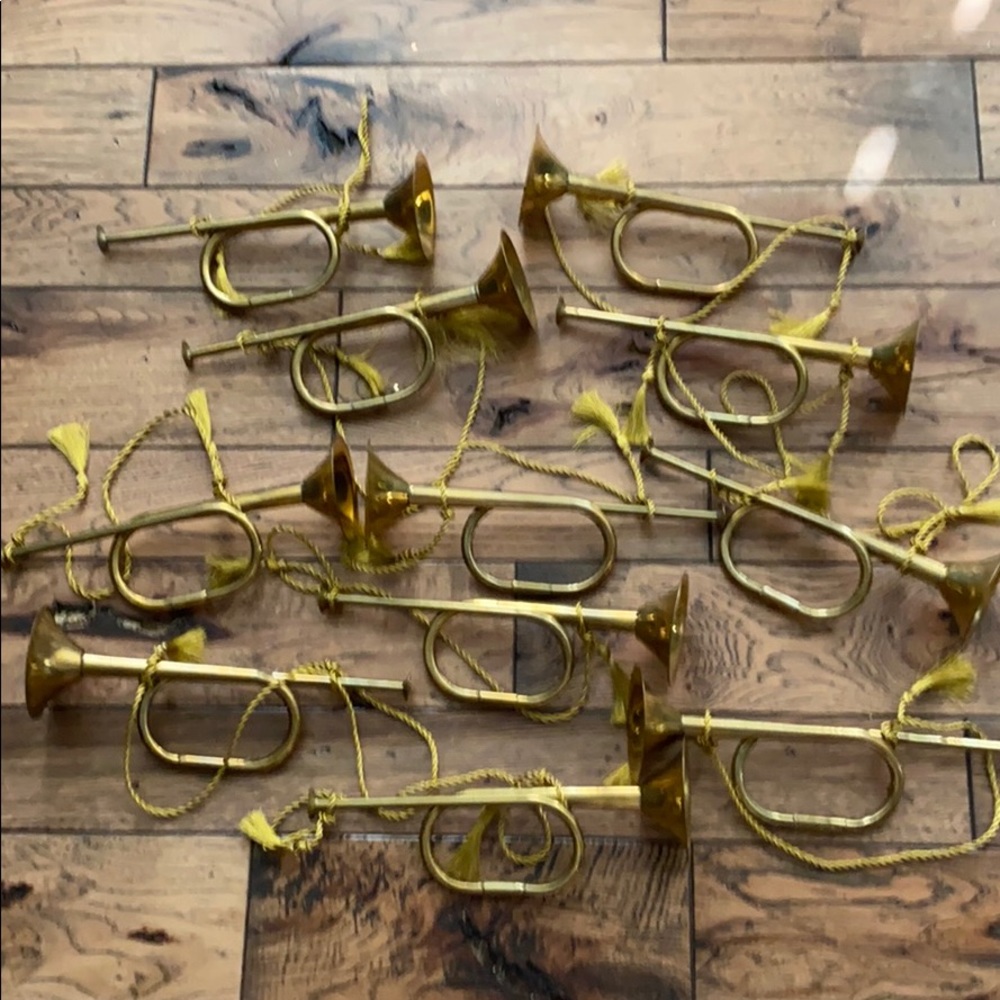 11 Horn decorations